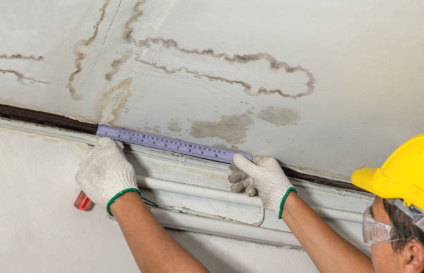 Reliable Flood Cleanup contractor in Umbarger, TX by Water Damage Irwin